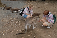 0092 Cairns Tropical Zoo